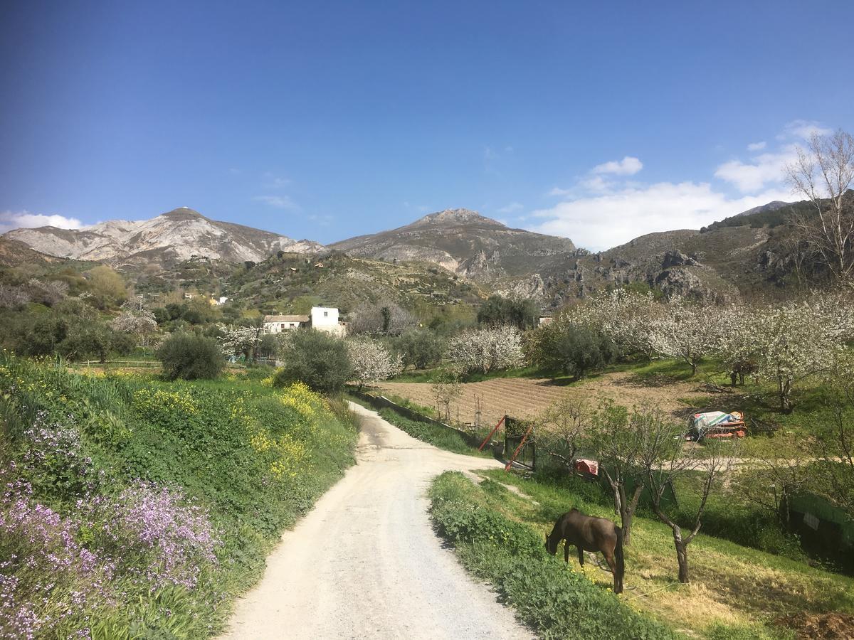 Hotel Rural Fuente La Teja Guejar Sierra Exterior photo